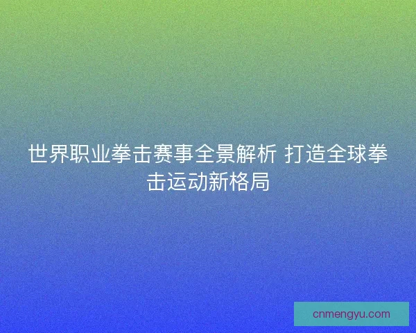 世界职业拳击赛事全景解析 打造全球拳击运动新格局