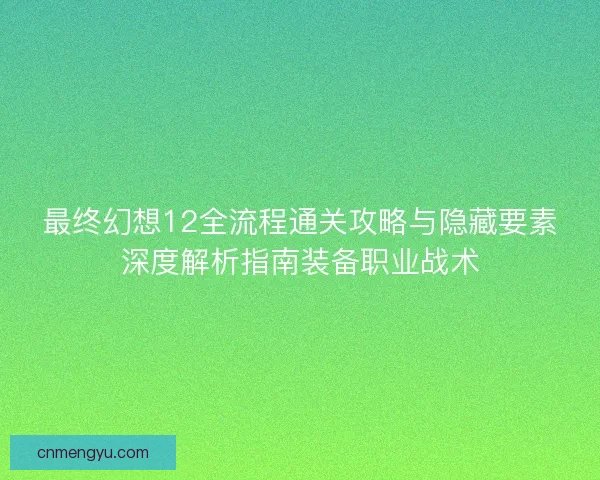 最终幻想12全流程通关攻略与隐藏要素深度解析指南装备职业战术