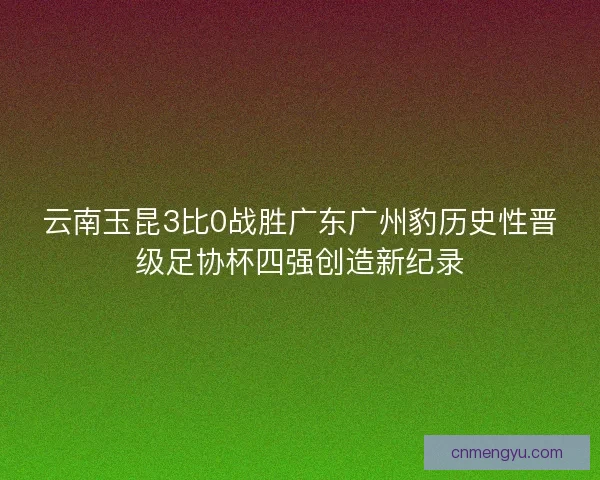 云南玉昆3比0战胜广东广州豹历史性晋级足协杯四强创造新纪录