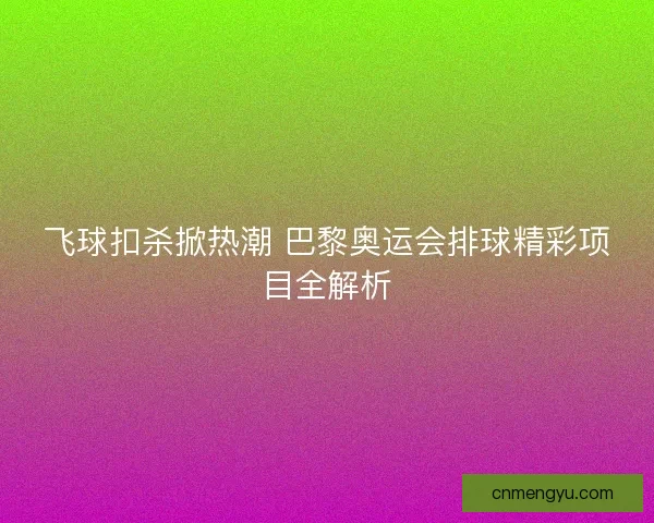 飞球扣杀掀热潮 巴黎奥运会排球精彩项目全解析