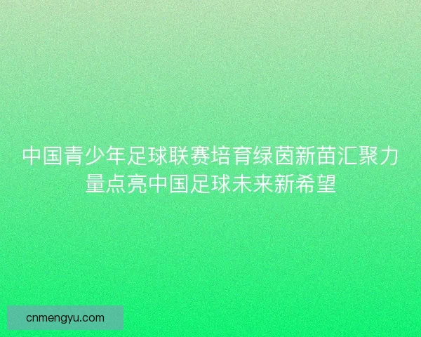 中国青少年足球联赛培育绿茵新苗汇聚力量点亮中国足球未来新希望